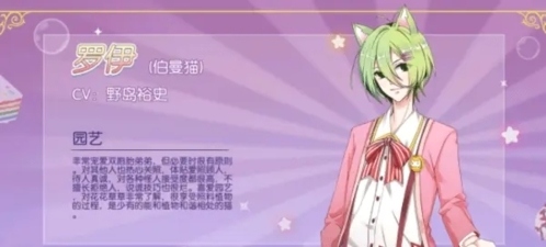 萌猫物语角色介绍5